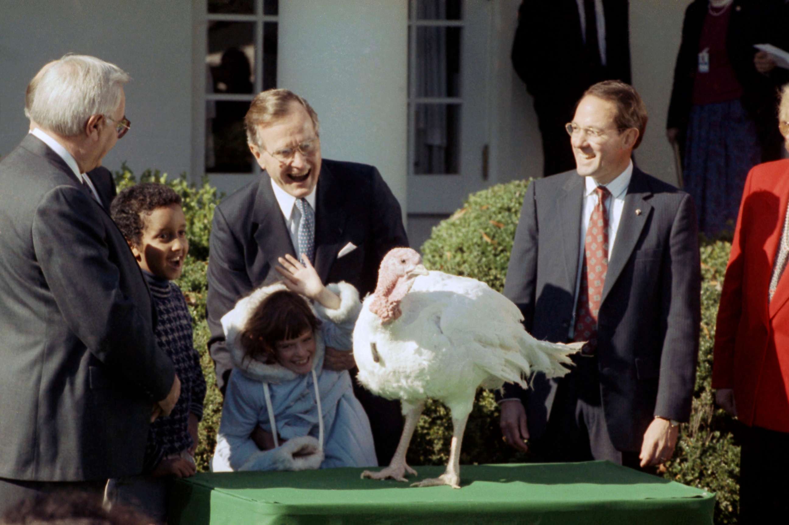 PHOTO: President George Bush laughs as a child is startled by a Thanksgiving turkey presented to the president at the White House for pardoning, in Washington, Nov. 18, 1989.