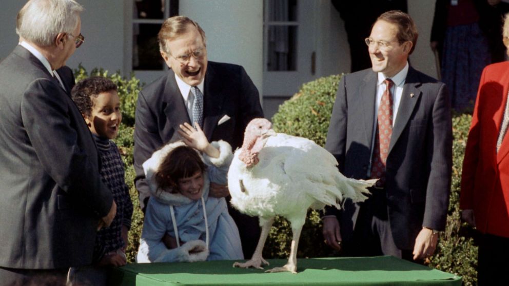 PHOTO: President George Bush laughs as a child is startled by a Thanksgiving turkey presented to the president at the White House for pardoning, in Washington, Nov. 18, 1989.