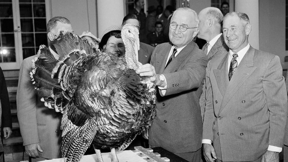 PHOTO: President Harry S. Truman squints as he fingers the wattle of a 35-pound Tom Turkey from Oregon as it is presented to him, in the White House Rose Garden on Nov. 18, 1952.
