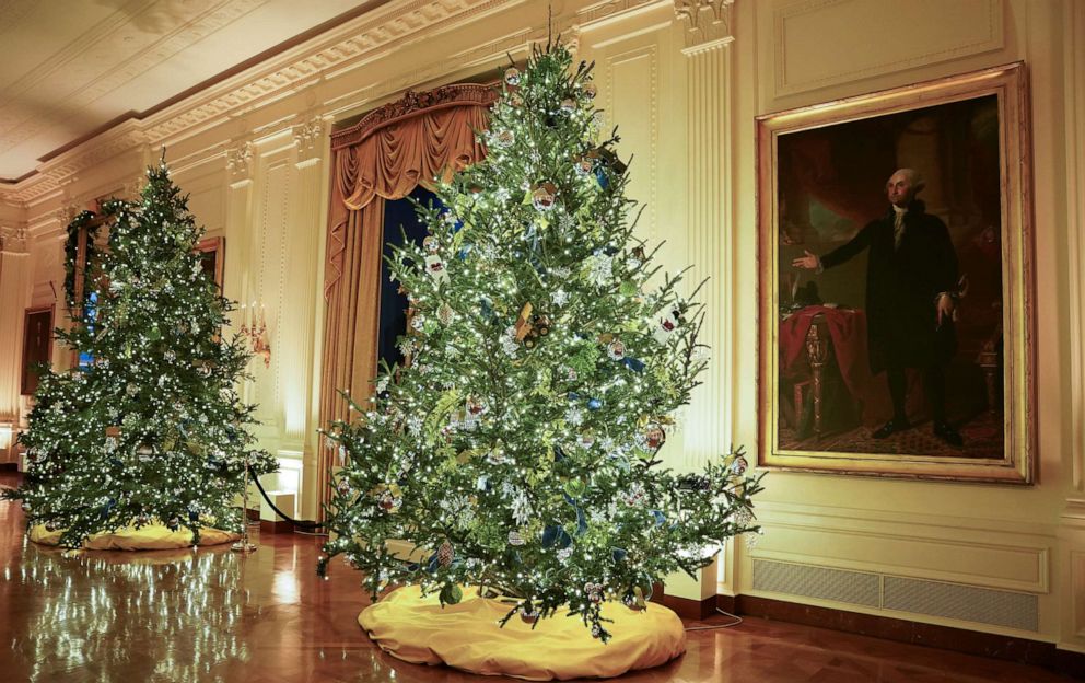 PHOTO: A painting of George Washington hangs beside Christmas trees in the East Room of the White House during a holiday decoration preview, Nov. 30, 2020.