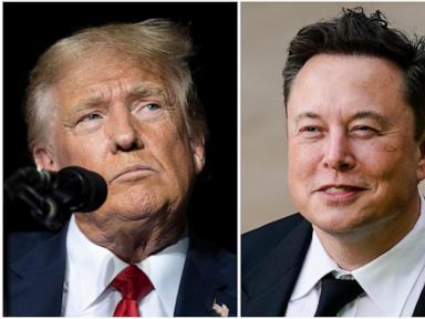 DeSantis strategist works with Musk to help organize voters for Trump