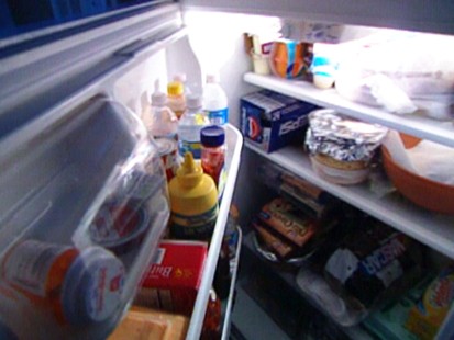 fridge