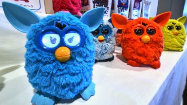 PHOTO: Various versions of a new electronic robot toy called "Furby", produced by US toy giant Hasbro and distributed by Japanese toy maker Tomy, are displayed at a press preview in Tokyo on September 4, 2012.