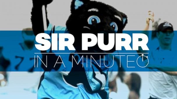VIDEO: Carolina Panthers Mascot Sir Purr In A Minute