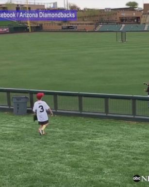 LUCKY CATCH: Arizona Diamondbacks players Ã?scar HernÃ¡ndez and Brandon Drury play catch with a young fan before a spring training game.