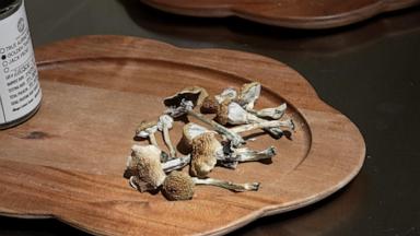VIDEO: Former athletes use magic mushrooms to help treat traumatic brain injuries
