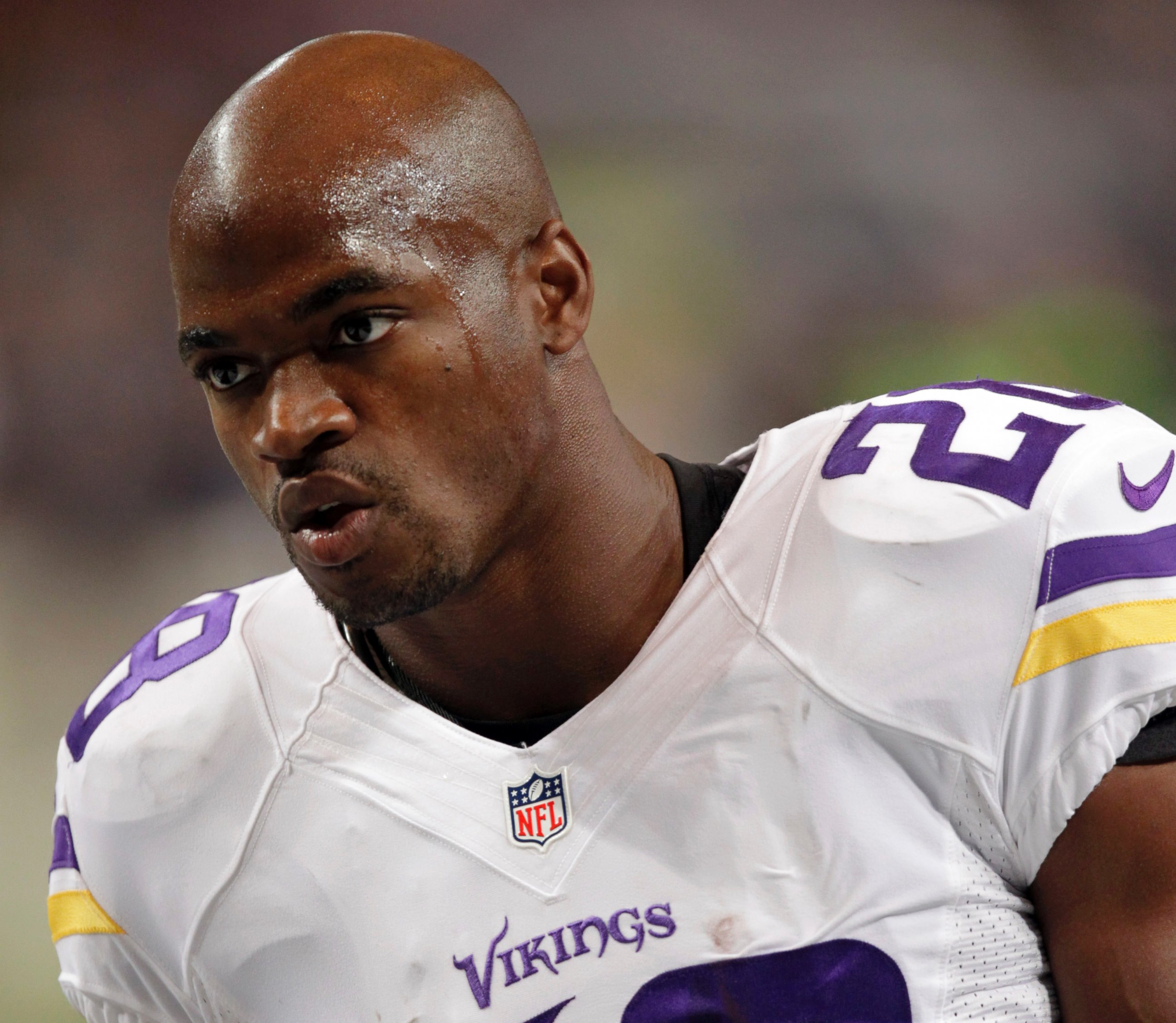 Vikings Officially Activate Adrian Peterson