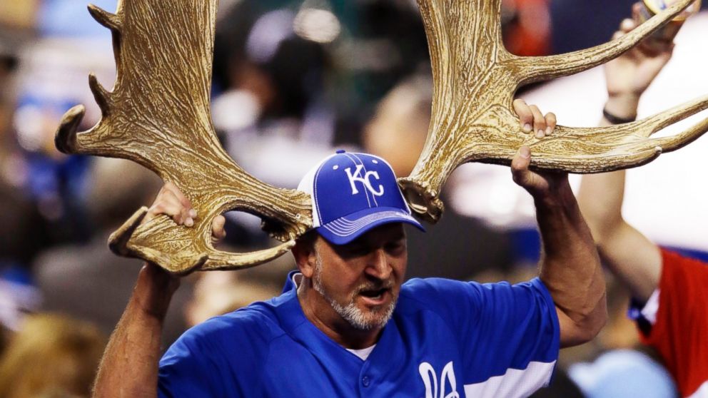 A Kansas City Royals Fan Brought Moose Antlers to the World Series - ABC  News