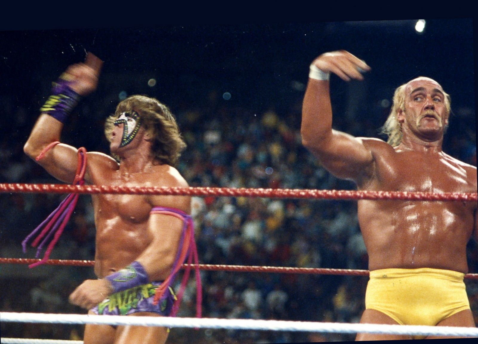 Wwe Legend Ultimate Warrior Dead At 54 Photos Abc News