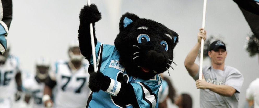 Fun alternate Sir Purr logo paying homage to the Carolinas : r/panthers