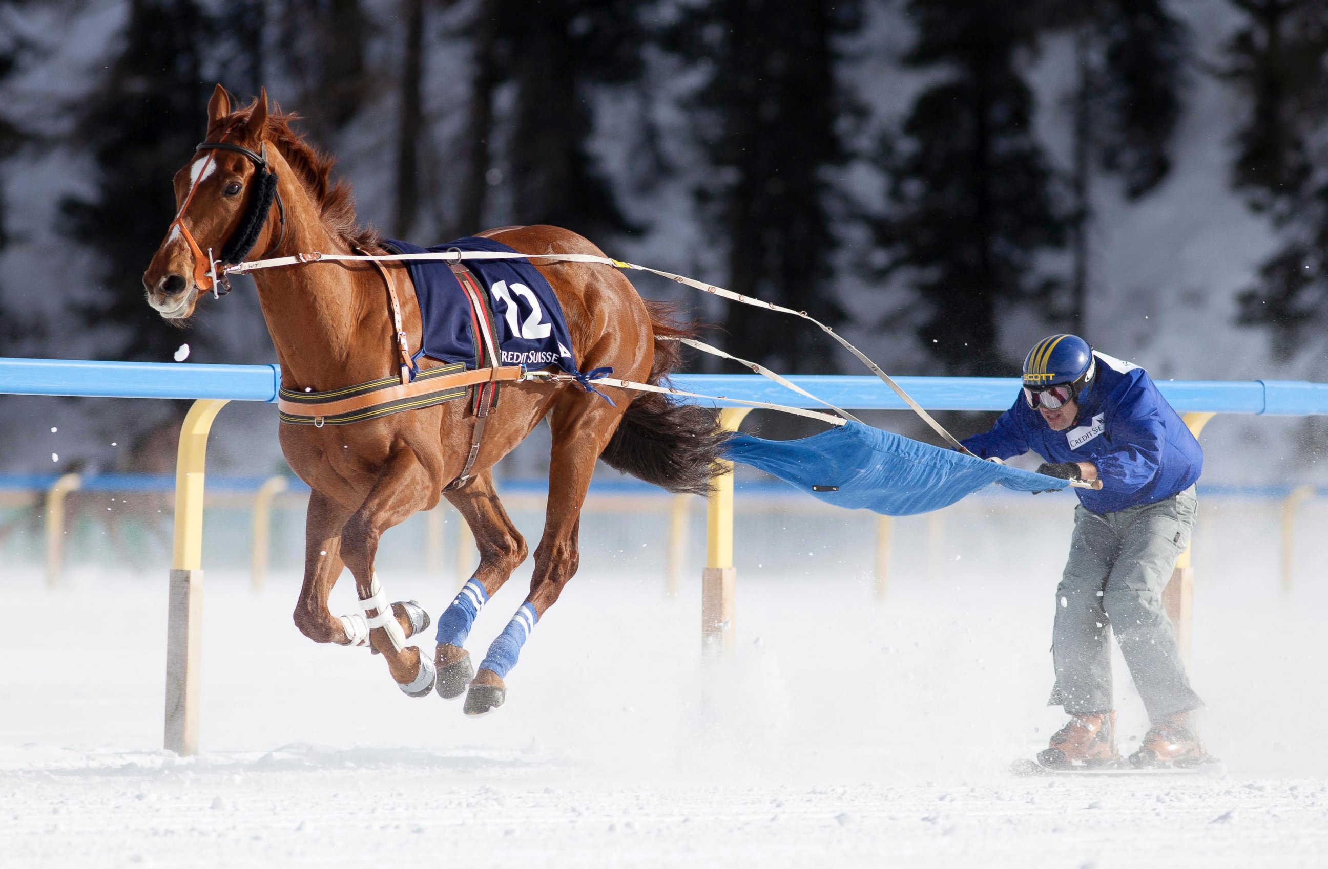 PHOTO: A ski joring racer competes in the White Turf horse racing event in St. Moritz, Feb. 3, 2013.