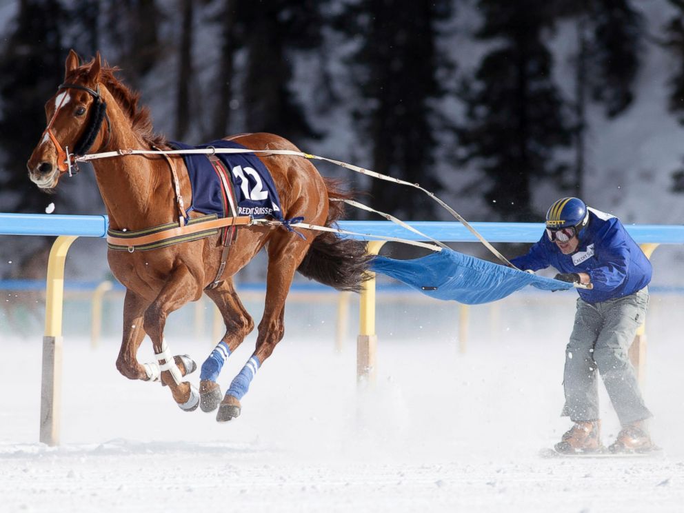 PHOTO: A ski joring racer competes in the White Turf horse racing event in St. Moritz, Feb. 3, 2013.