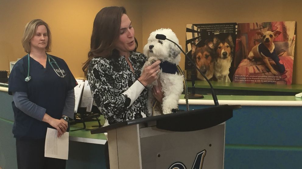 Milwaukee Brewers' Hank the Ballpark Pup Wasn't a Double After All