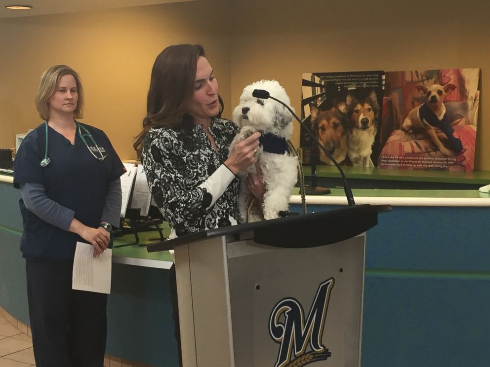 PHOTO: Hank and his owner, Marti Wronski, appear at a press conference on March 4, 2016.