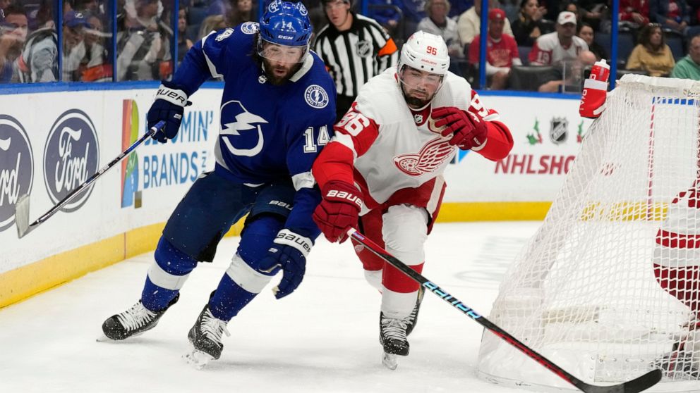 Detroit Red Wings defenseman Jake Walman (96) knocks the puck away from Tampa Bay Lightning left wing Pat Maroon (14) during the second period of an NHL hockey game Tuesday, Dec. 6, 2022, in Tampa, Fla. (AP Photo/Chris O'Meara)