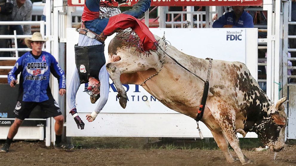 Bull Riding May Be 1st Us Professional Sport To Welcome Fans Abc News