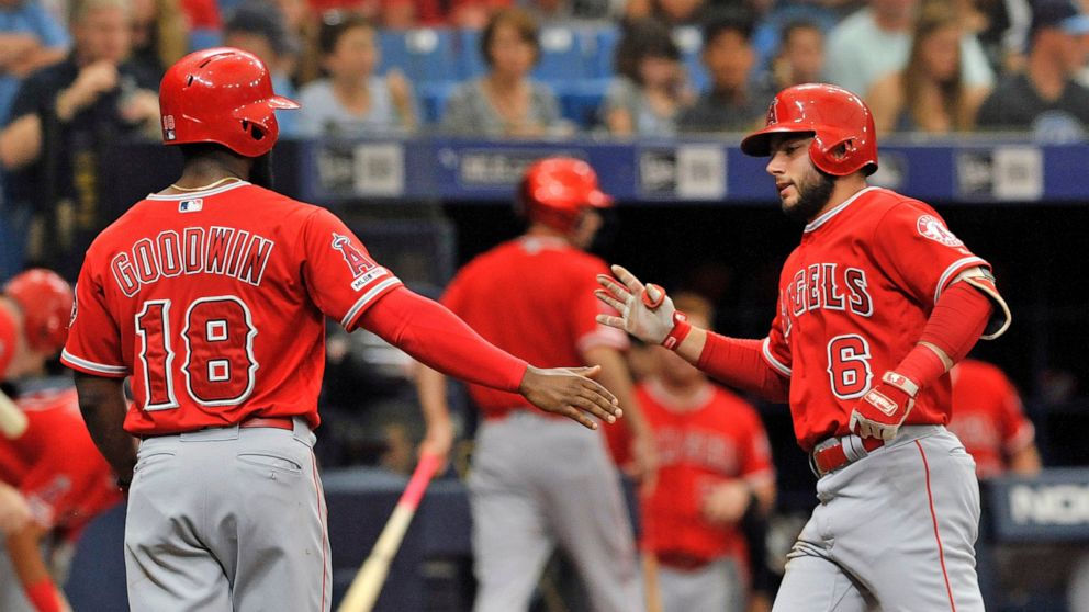 Los Angeles Angels' Brian Goodwin (18) celebrates with David Fletcher (6) after Fletcher's two-run home run off Tampa Bay Rays starter Charlie Morton during the second inning of a baseball game Saturday, June 15, 2019, in St. Petersburg, Fla. (AP Pho