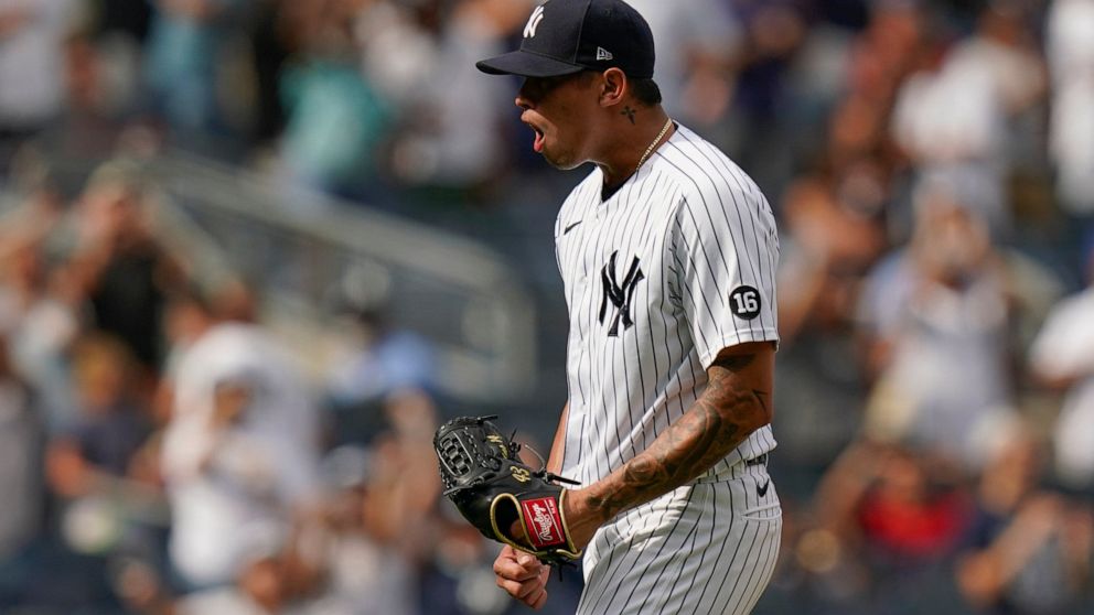 New York Yankees Jonathan Loaisiga reacts after the first baseball game of a doubleheader against the Boston Red Sox, Tuesday, Aug. 17, 2021, in New York. The Yankees won 5-3. (AP Photo/Frank Franklin II)