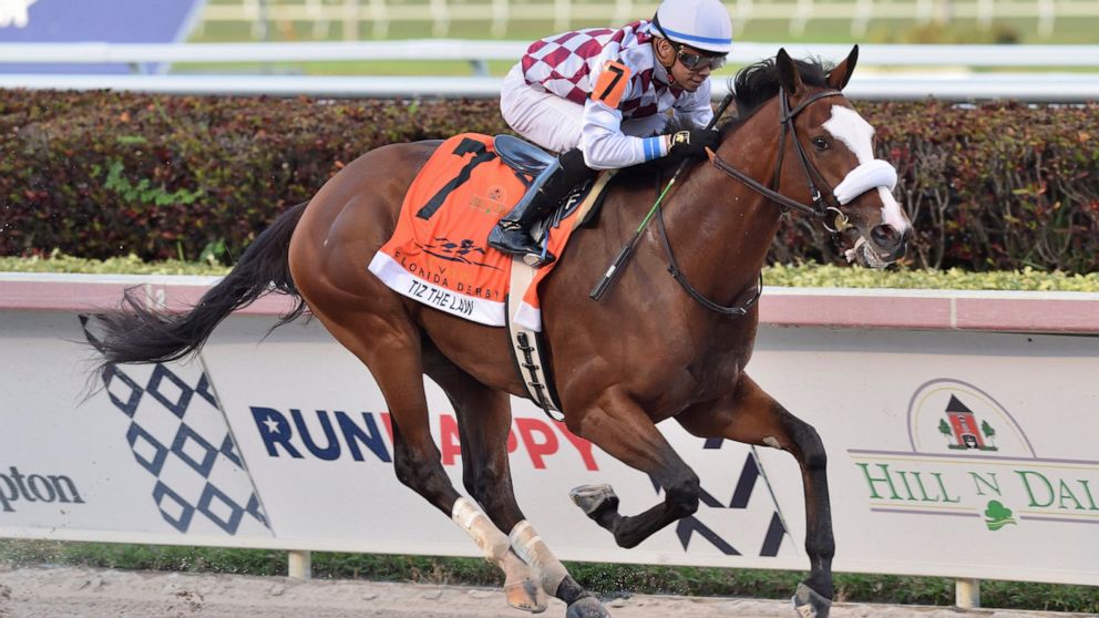 Tiz The Law Wins A Very Unusual Florida Derby At Gulfstream Abc News