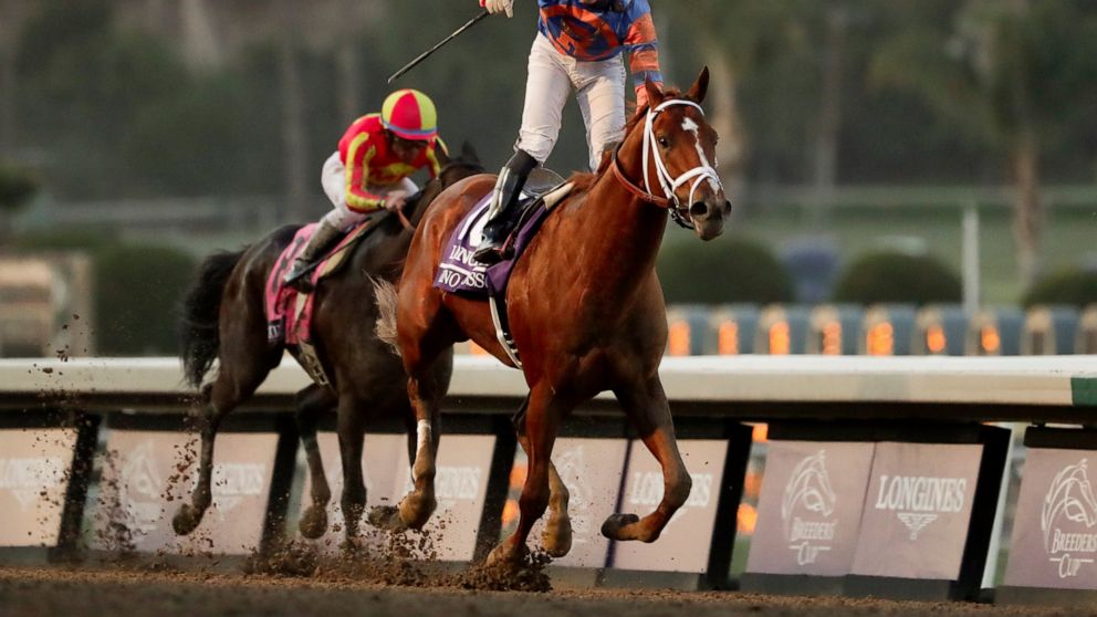 Vino Rosso wins Breeders' Cup Classic marred by horse injury thumbnail