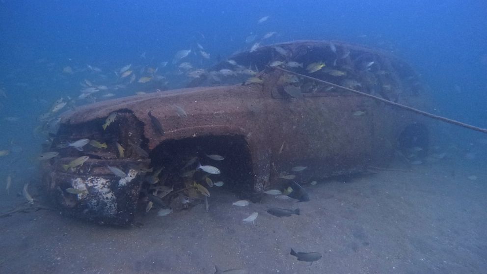 A sunken vehicle sit in the Mesaieed sea-line at the GMC dive site in Mesaieed, Qatar Wednesday, Nov. 30, 2022. World Cup fans in Qatar hoping to see some of the Gulf’s marine life are visiting the artificial reefs just off the coast of the small, pe