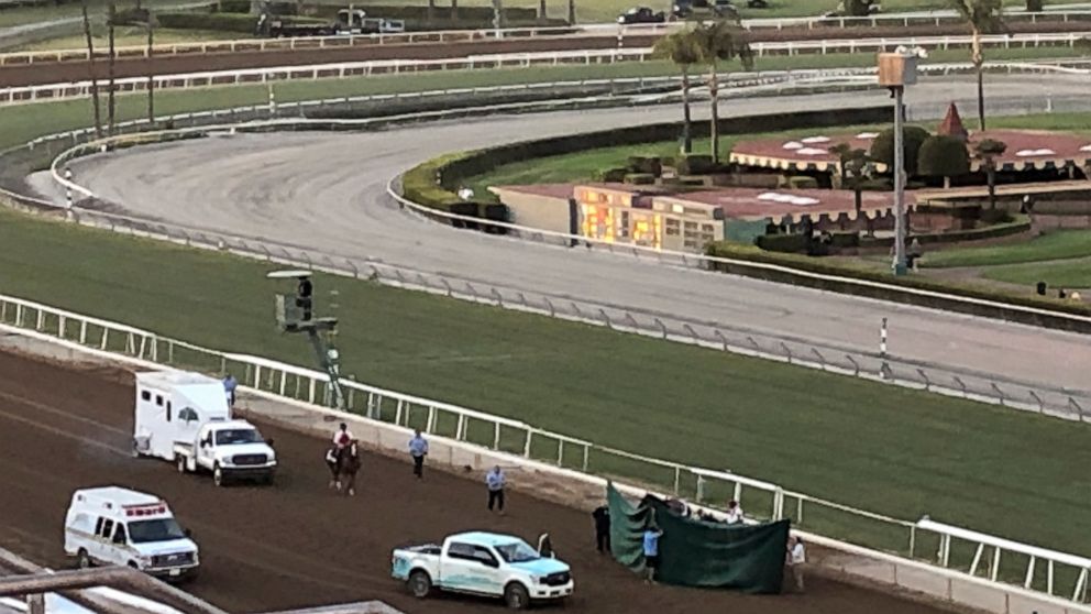15-1 long shot fatally injured in Breeders' Cup Classic thumbnail