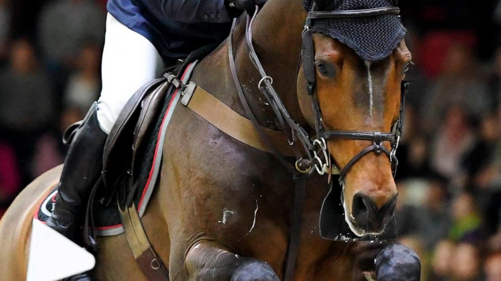 Horsepower Literally Finnish Horse Show Runs On Manure Abc News