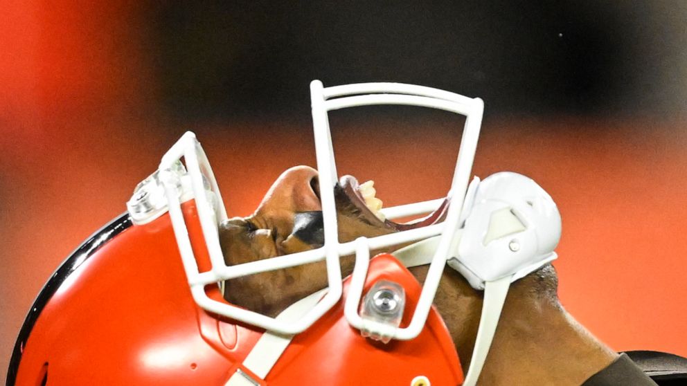 Cleveland Browns quarterback Deshaun Watson celebrates his touchdown pass during the second half of an NFL football game against the Baltimore Ravens, Saturday, Dec. 17, 2022, in Cleveland. (AP Photo/David Richard)