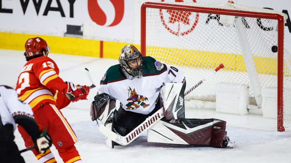 coyotes goalie