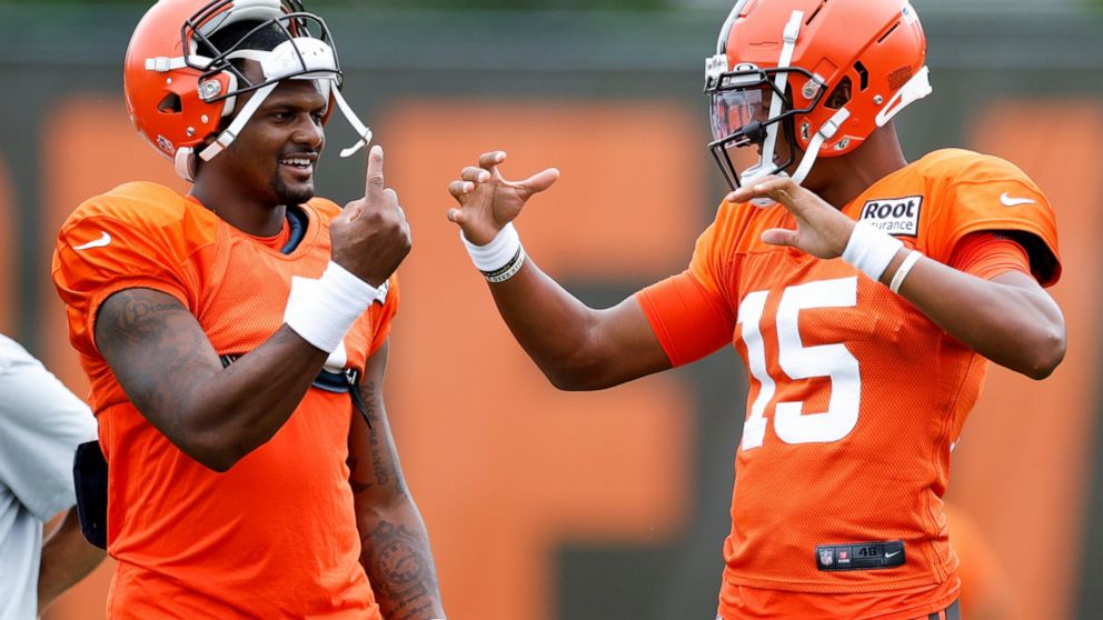 Deshaun Watson, Joshua Dobbs