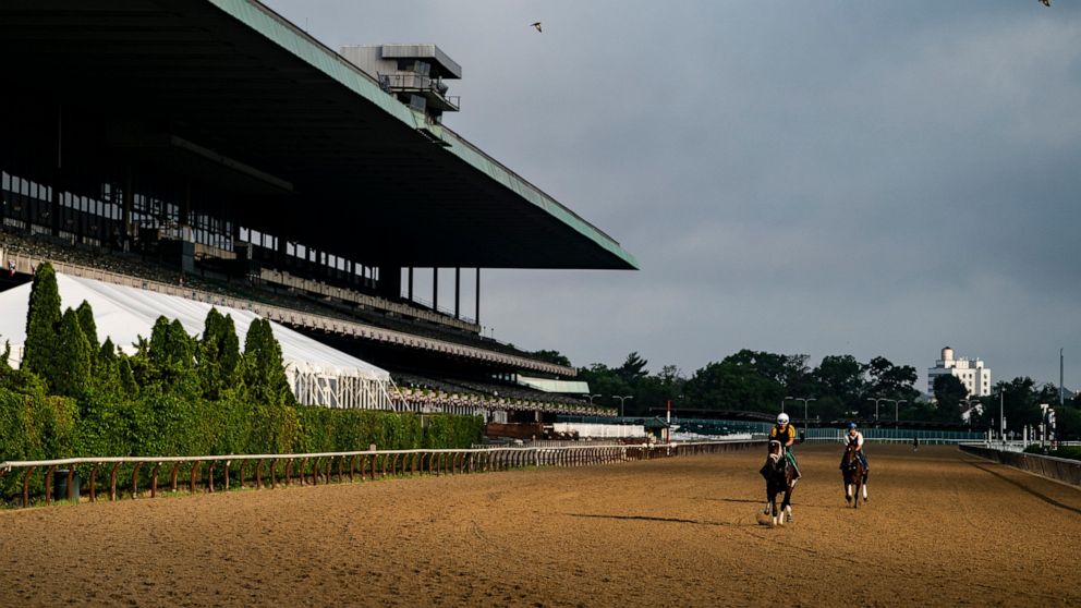 Horses train at daybreak before the 154th running of the Belmont Stakes horse race, Wednesday, June 8, 2022, in Elmont, N.Y. (AP Photo/John Minchillo)