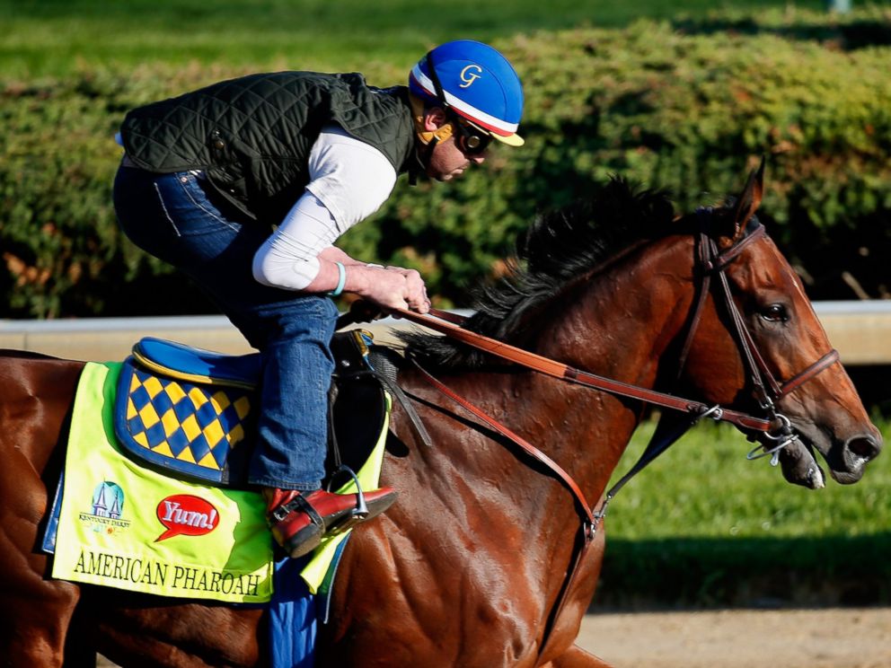 American Pharoah Rides Misspelled Name to Brink of History ABC News