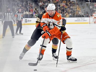 Hertl scores decisive goal as Golden Knights beat Ducks 3-1