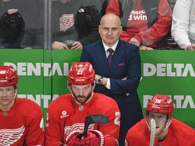 Detroit Red Wings fire coach Derek Lalonde, name Todd McLellan as his replacement