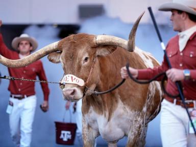 Missing ingredient: Horns and Aggies renew storied and bitter rivalry after more than a decade