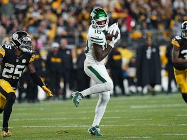 Jets trade wide receiver Mike Williams to Steelers for a fifth-round draft pick next year