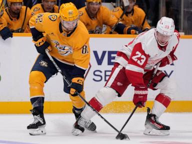 Copp's 2 goals lead Red Wings over reeling Predators 5-2