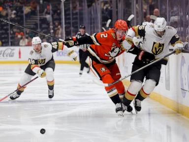 Nicolas Roy, Tomas Hertl and Pavel Dorofeyev score and Golden Knights hold on to beat Ducks 3-2