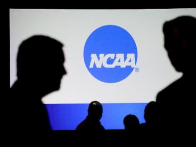 NCAA pilot study finds widespread social media harassment of athletes, coaches and officials