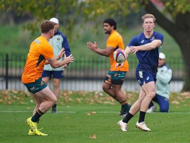 Wing 'wizard' Harry Potter to play for Australia's rugby team. He knows the puns are coming