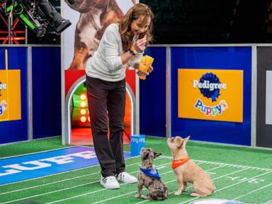 Meet the woman keeping the adorable pups happy at this year's 'Puppy Bowl'