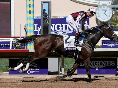 Sierra Leone wins $7 million Breeders' Cup Classic after suffering close loss in Kentucky Derby