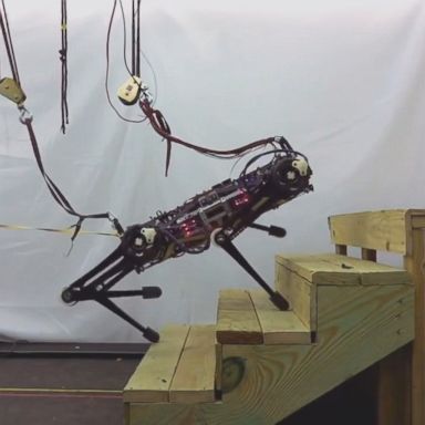 VIDEO: MIT's visionless Cheetah 3 robot can move with great skill.