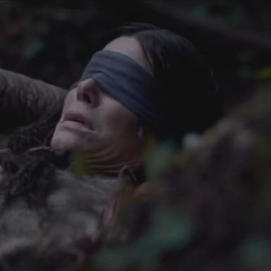 VIDEO: 'Bird Box' breaks Netflix records