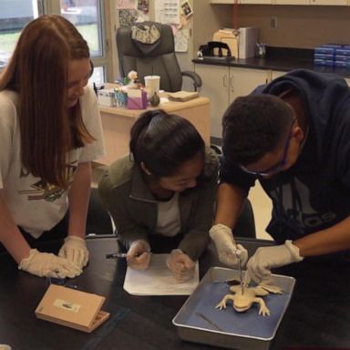 VIDEO: Florida high school uses synthetic frogs for dissection 