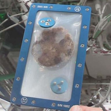 VIDEO: Astronauts use Zero G oven to bake cookies in space