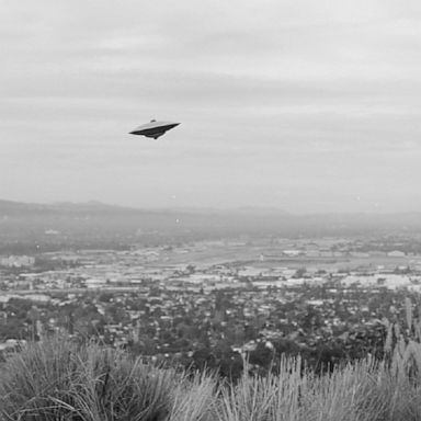 The July 2 celebration aims to bring awareness to the concept of unidentified flying objects and hopes to encourage governments worldwide to declassify any relevant information on the subject.