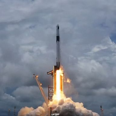 SpaceX launched the organism as part of a cargo resupply mission to support NASA's celestial research.