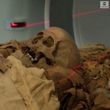 WAKING THE DEAD: Ancient Egypt meets modern technology as scientists put mummies under the microscope with CT scans to study their life and death.