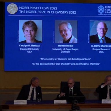 Three scientists from the United States and Denmark shared this year's Nobel Prize in Chemistry for developing "clicking" molecules.